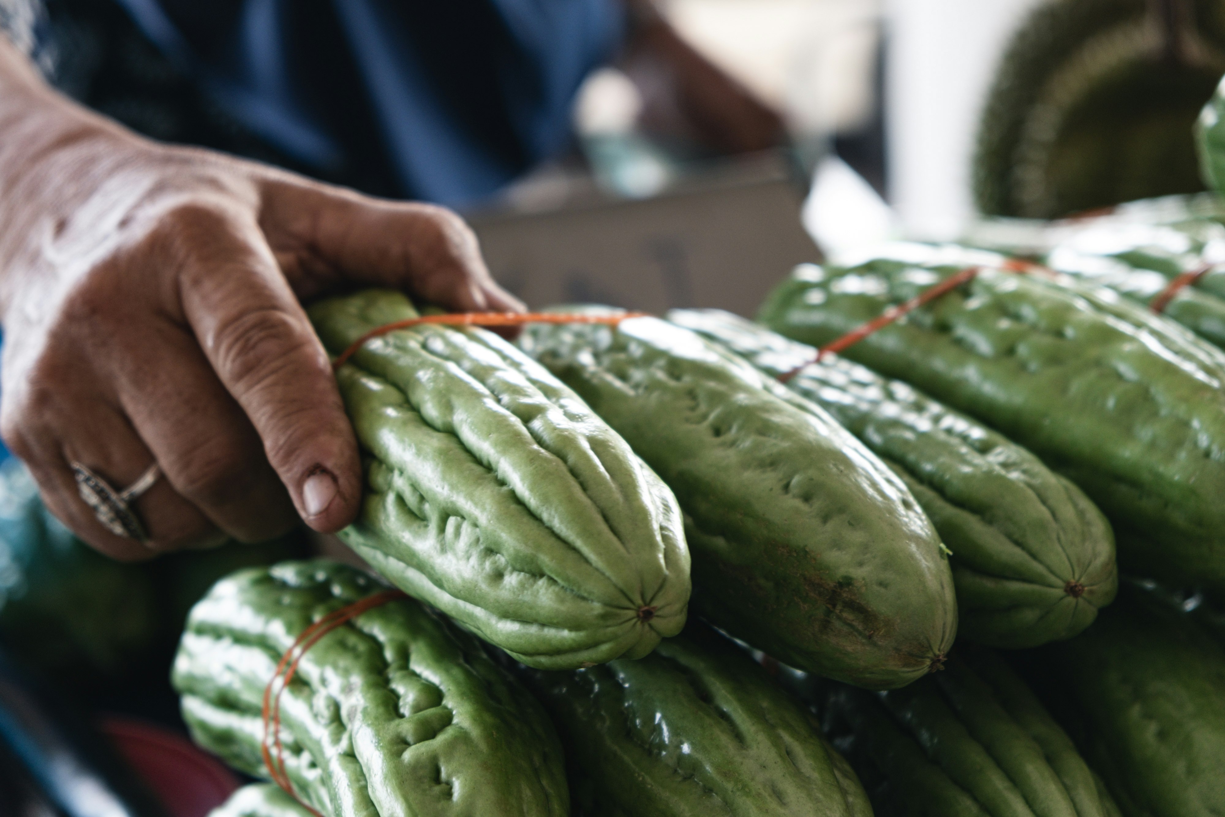 green vegetables on white plastic container